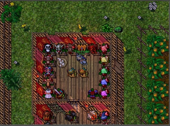 Activity #6 Analysis of Tibia